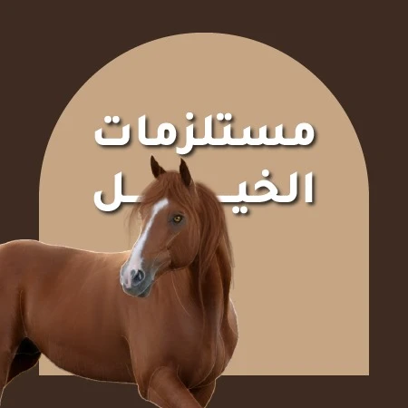 مستلزمات الخيل