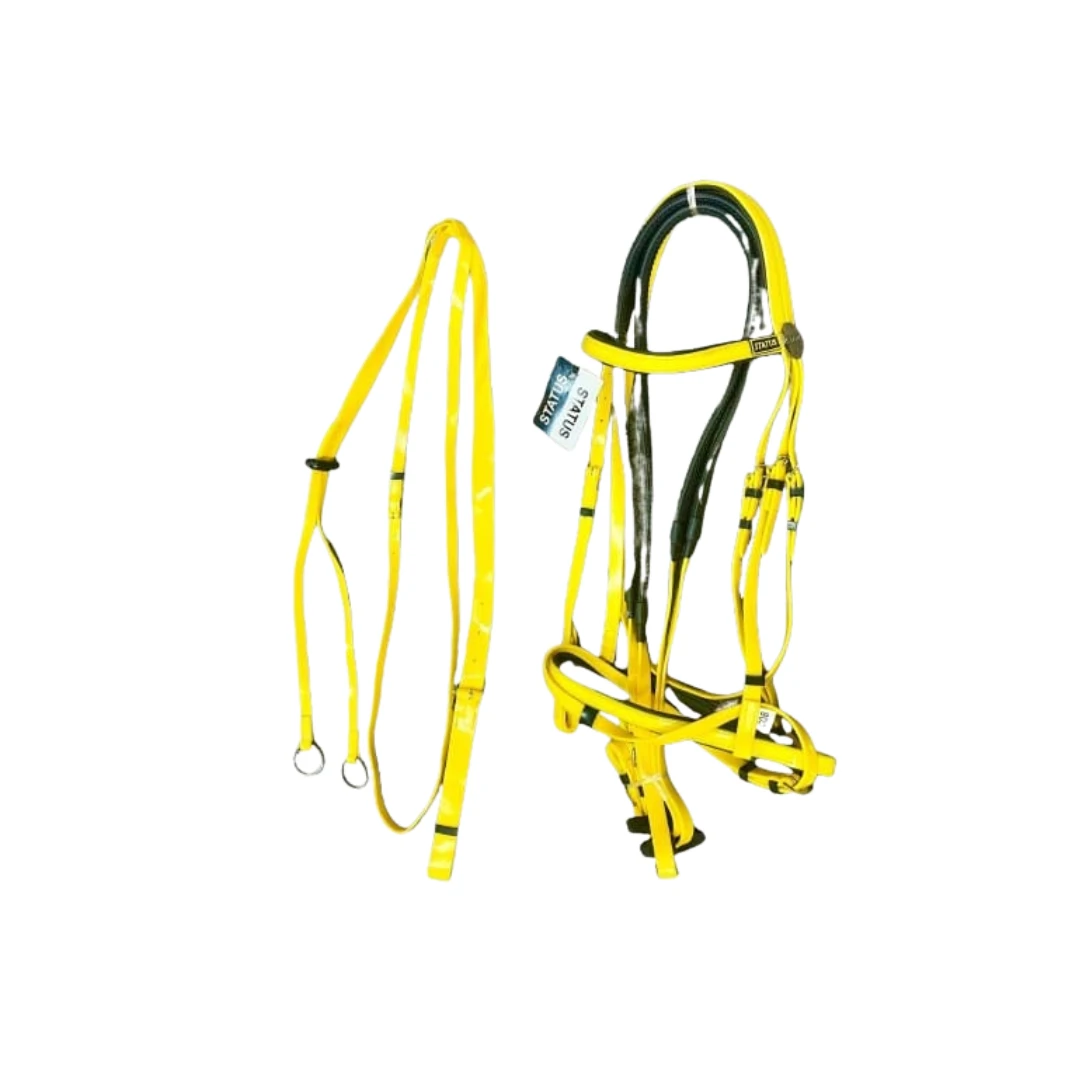 لجام ركوب مع صدرية ماركة ستاتوس