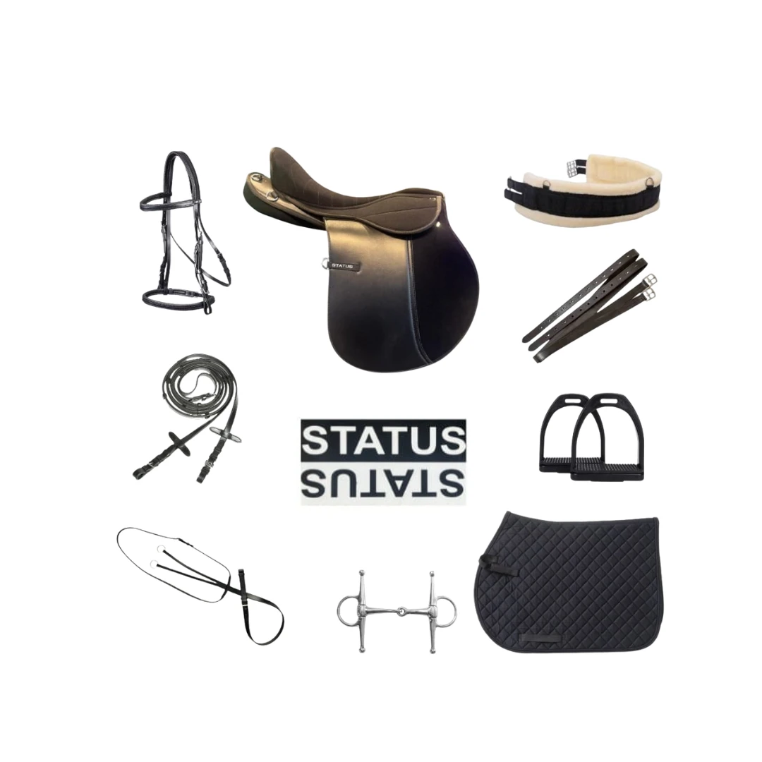 طقم سرج ستاتوس الاقتصادي