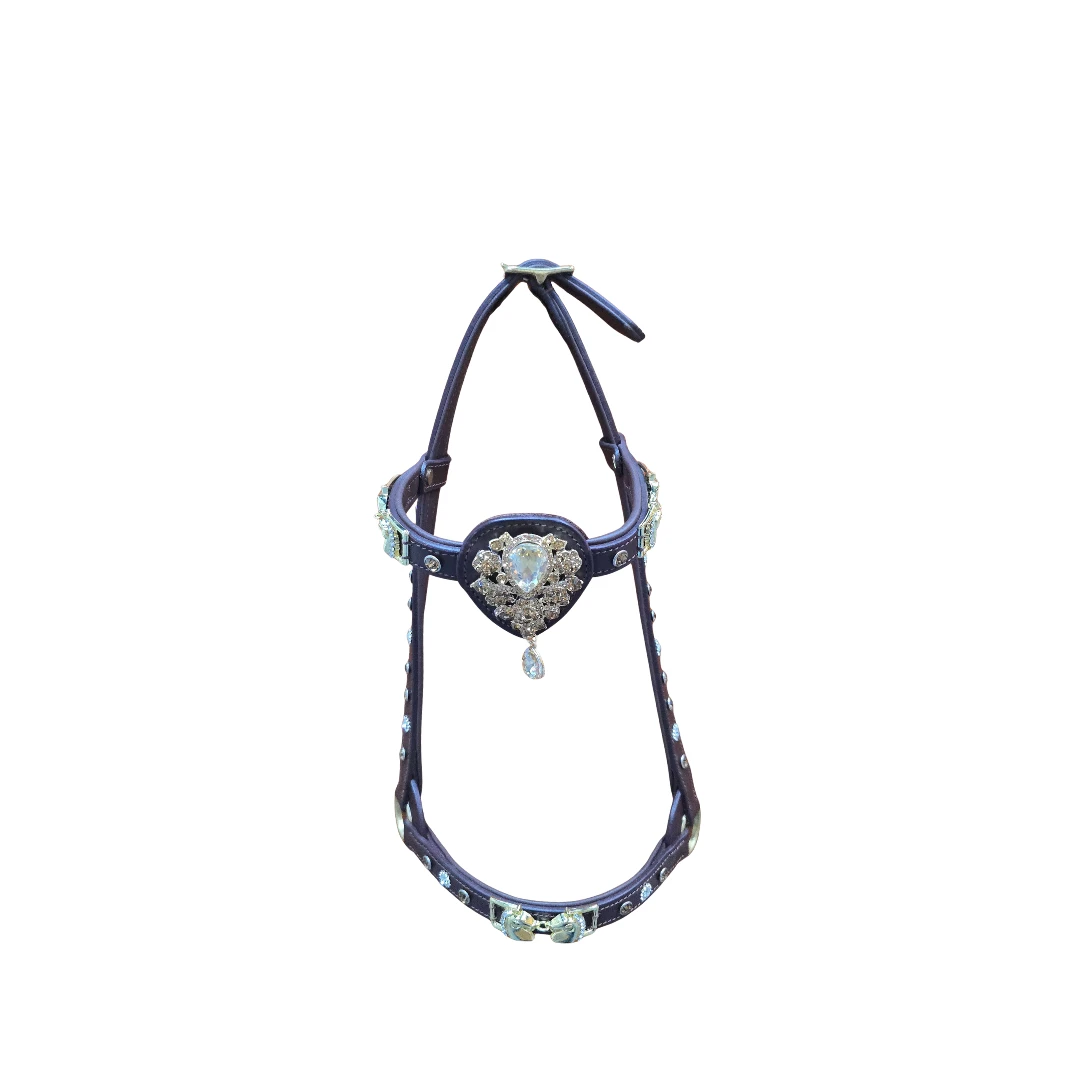 رشمة عرض الخيل العربية