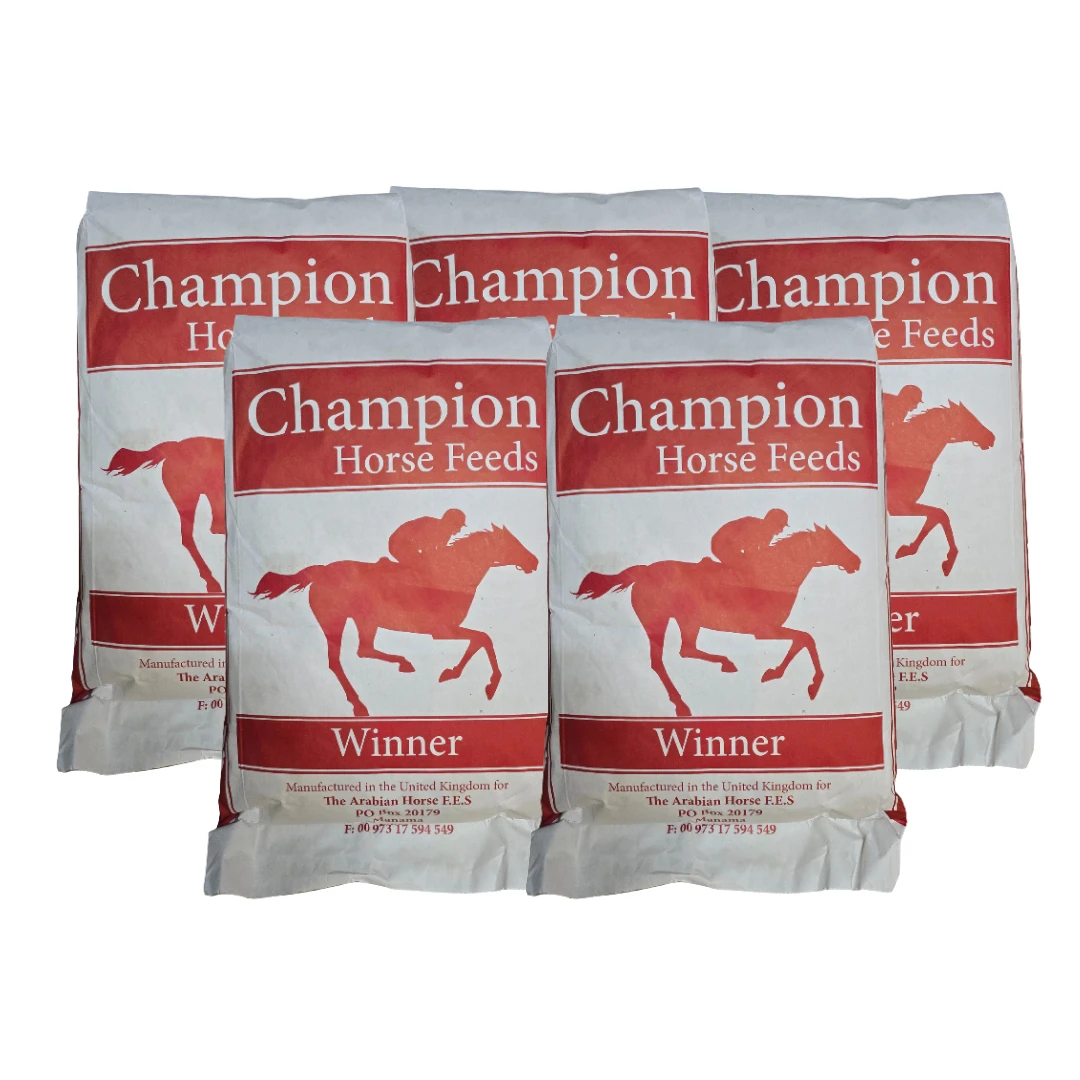 تشامبيون هورس (وينر)